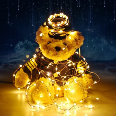 India Desire : Amazon : Upto 80% Off On Seasonal Indoor String Lights From Rs 135 Only